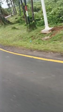 The video captures a roadside view while moving along an asphalt road. The road has a yellow line on the side and a white line in the middle. The camera is positioned as if from a vehicle moving on the road. On the roadside, there is green grass and vegetation, including trees, bushes, and banana plants. In the background, a slightly sloped hill covered with greenery is visible under an overcast sky. There are also utility poles and wires alongside the road. The scene gives the impression of a rural, possibly mountainous area.