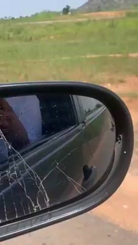 A car's side mirror is viewed while driving past a grassy area. The side mirror is cracked. Several white cows are visible in the grass. A person can be seen in the distance standing near the cows.