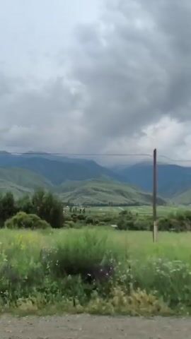 The video shows a landscape with rolling green hills and mountains in the background, under a cloudy sky. In the foreground, there is a grassy field with some wildflowers and a dirt road. A wooden utility pole is visible on the left side of the frame. The camera appears to be moving, likely from a vehicle, as the scenery shifts slightly throughout the short clip. The overall impression is one of a natural, rural environment, possibly during overcast weather.