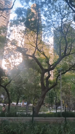 Evening scenes captured across Mexico City parks and streets