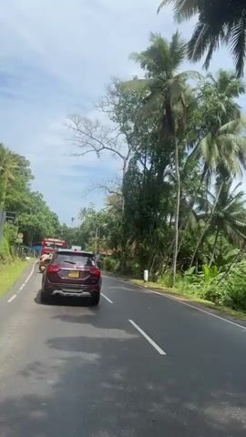 A car is driving on a two-lane road. The camera is positioned behind the car, providing a view of the road ahead. On the left of the car is a red bus and a green sign. The road is lined with lush vegetation including palm trees.  Traffic is present, including a tuk-tuk and a large truck with a cage-like structure on its bed. Power lines stretch across the sky. The weather is bright, with a partly cloudy sky.