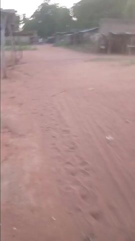 The video captures a first-person perspective of someone walking through an open, dusty area in Gerkava, Nigeria, likely during the late afternoon or early evening. The ground is reddish-brown dirt with some tire tracks. On either side of the walking path, several simple, open-sided shelters or stalls are visible. These structures are made from wooden poles supporting thatched or rustic roofs. In the background, green trees line the area, and a few people can be seen walking. Towards the end of the video, some motorbikes are briefly visible parked in the distance. The scene depicts a common outdoor market or community gathering space in a rural or semi-rural setting.