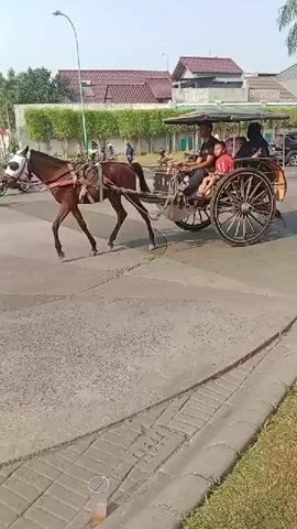 A horse-drawn carriage is moving on a paved road. There are people in the carriage. The environment is outdoors with buildings and trees in the background. The sky is visible and appears to be daytime.