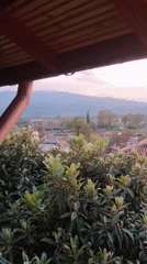 Residential view captured showing red-roofed homes, trees, snowy mountains