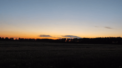 Rural Belarusian sunset over fields and treelines