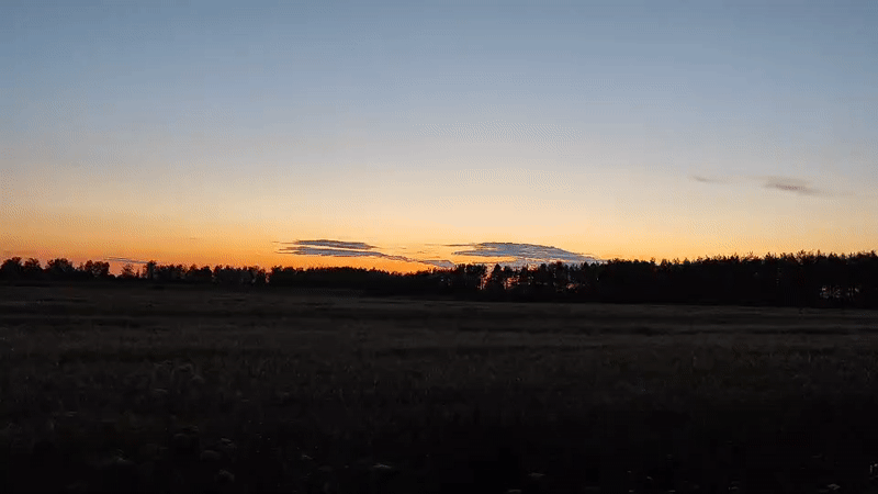 Rural Belarusian sunset over fields and treelines