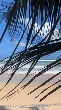 Serene morning beach scene recorded in Kabalana, Sri Lanka