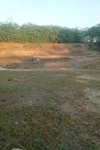 The video shows a muddy pond surrounded by dry brush and trees. The sky is clear and blue. The ground is covered with grass and dirt. There are some debris in the pond, and the water appears to be stagnant. The overall scene is one of a neglected and somewhat desolate environment.