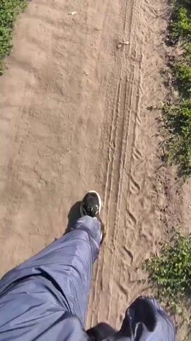 The video shows a first-person perspective of someone walking on a dirt path. The path is lined with dry grass and some green vegetation on the left side. In the distance, there is a field of wheat and trees. The sky is clear and blue. The person is wearing dark pants and sneakers. The camera pans slightly to the right, revealing more of the wheat field. The video is shot outdoors in daylight.