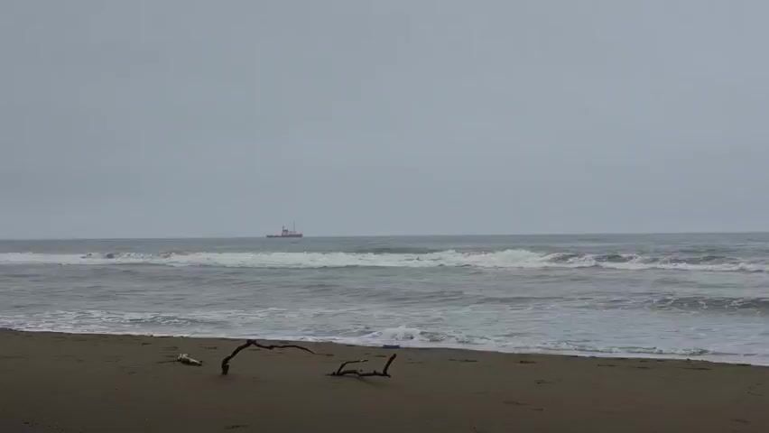 The video shows a wide shot of a beach with a gray, overcast sky and calm ocean waves. In the distance, a red and white boat is visible on the horizon. The beach is sandy with some driftwood scattered along the shore. The camera remains static throughout the short clip.