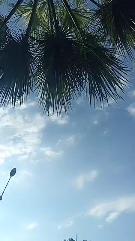 The video opens with a low-angle shot looking up at palm fronds against a bright blue sky with scattered white clouds. The sun is visible, suggesting it is daytime. As the camera pans down, a streetlamp with a circular reflector comes into view. The scene then shifts to a street lined with palm trees and buildings. A walkway is visible on the left, with a few people walking along it. Cars are parked on the right side of the street, and more buildings can be seen in the background. The time of day appears to be late morning or early afternoon due to the bright sunlight. The weather seems pleasant with clear skies and a few clouds. The presence of palm trees and the architecture of the buildings suggest a warm climate, consistent with the provided location context of Mezitli, Turkey. The video captures a view of an urban environment, likely a street or boulevard, with a focus on the natural elements like palm trees contrasting with the man-made structures.