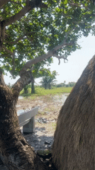 Exploring Badagry's slave history site and beach on horseback