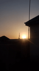 Sunrise cityscape and pigeons observed during dawn sequence