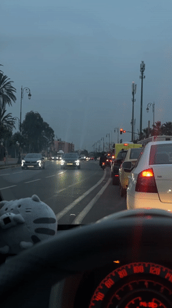 Traffic observed on palm-lined street in Marrakesh