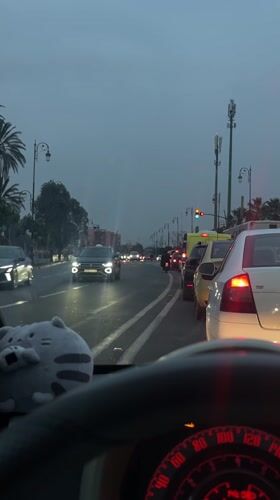 Traffic observed on palm-lined street in Marrakesh
