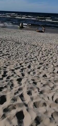 The video shows a sandy beach with several people and dogs near the water. In the foreground, the sand is textured with footprints and small mounds. In the mid-ground, a green inflatable boat is partially submerged in the water with one person sitting in it. Two dogs are visible on the sand near the boat. Further back, several people are gathered on the beach, with one person lying down. The ocean has waves and the sky is blue with some clouds. The overall scene depicts a casual day at the beach.