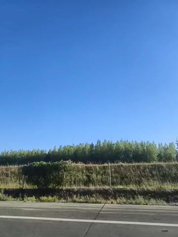 A wide shot captures a clear blue sky above a line of trees and a grassy slope. A fence runs along the middle of the slope. In the foreground, a section of a paved road with white lines is visible. The camera appears to be moving, suggesting the view is from a vehicle. No people or specific actions are discernible. The environment appears to be a roadside or highway setting.
