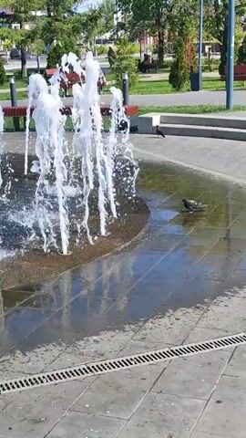 A fountain is spraying water into a paved area. Several pigeons are on the wet ground around the fountain. In the background, there are trees, benches, and some people walking. The sun is shining and casting reflections on the wet pavement.