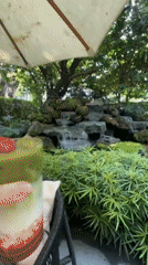 Tourist documents hour-long visit to Thai garden cafe complex