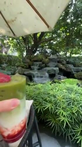 Tourist documents hour-long visit to Thai garden cafe complex