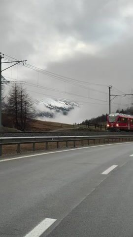 A red train travels from right to left along a railway track in a mountainous landscape near Pontresina, Switzerland. The train is bright red with white and silver accents, and its headlights are illuminated. The text "Rhätische Bahn" and a logo are visible on its side. In the background, snow-capped mountain peaks are partially obscured by low-hanging clouds or fog, under an overcast sky. A two-lane asphalt road with white markings runs in the foreground, parallel to the train tracks, separated by a metal guardrail. Bare trees are scattered along the terrain between the tracks and the mountains, and prominent overhead power lines stretch across the scene. The ground is a mix of brown and dried grass.