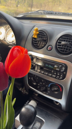 Driver carries tulips in Jeep through Bulgarian village