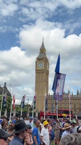 Pro-EU crowd rallies outside Parliament with flags and capes