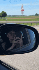 Woman takes selfie in car mirror on German highway