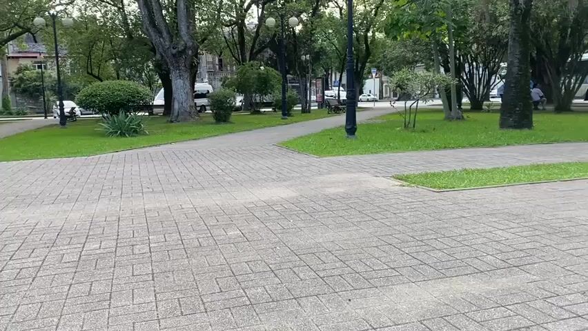 A person walks across a paved pathway in a park with trees and grass. The pathway is made of rectangular concrete pavers arranged in a basketweave pattern. In the background, there are more trees, some with lights mounted on poles, and a few buildings. A white van and a bus are visible in the distance. The person is wearing a dark t-shirt and dark pants. They are walking from left to right.