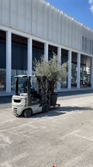 Montenegro witnesses construction work and personal moments Thursday midday