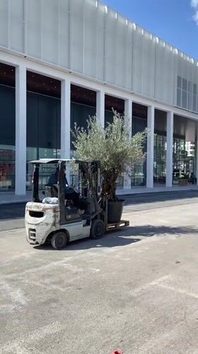 Montenegro witnesses construction work and personal moments Thursday midday