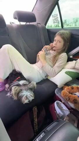 The scene is inside the backseat of a car. A young girl is lying on her side on the seat, propped up by a pillow. She is wearing pale pants and a long-sleeved shirt. She is holding a small metallic object in her hands and appears to be looking at it. A small dog with black and tan fur is lying next to her. There is luggage or bags below the girl and the dog. A green-spotted pillow and a container with furry objects are also visible on the seat beside her. The car is in motion, as suggested by the view outside the window.