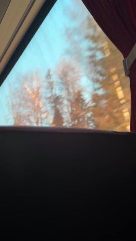 The video shows a view from inside a vehicle, likely a bus or train, through a window. The window is framed by a red curtain on the right and the vehicle's interior structure on the left. Outside, trees are visible against a light blue sky. The trees appear blurred, suggesting motion, and are illuminated by the setting sun, giving them a reddish-orange hue. The lower portion of the frame is a dark, out-of-focus surface, likely the back of a seat. The focus is on the scenery outside the window.