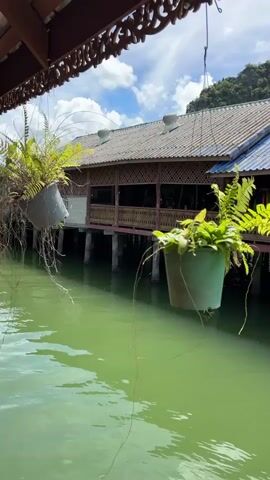 The video pans across a bright green body of water, likely a river or canal. On the right side of the frame, a stilted wooden building stands over the water. This building has a thatched roof and a wooden balcony with a railing. Two potted plants, full of lush green ferns, hang from a wooden overhang in the foreground, obscuring a portion of the view of the building. The water is calm, with gentle ripples reflecting the sky, which is partially cloudy. The overall impression is of a serene, tropical setting.