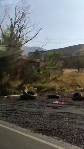 The video shows a roadside view of a rural landscape. In the foreground, a paved road is visible, with loose gravel and debris on its edge. On the left side of the road, there is a large dark tree with graffiti on it that reads "LELEY". Further back, there is a billboard with some writing on it, and a tire hanging from a pole. The background consists of dry grass, bushes, and several tall, bare trees. In the distance, rolling hills can be seen under a hazy sky. There are also utility poles with wires scattered throughout the landscape. The overall impression is one of an unkempt, somewhat desolate rural area.