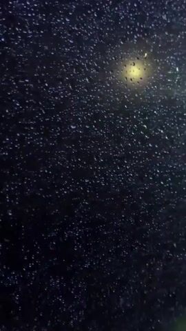The media file depicts a close-up view of raindrops on a windowpane at night, with a yellow light source visible in the upper right quadrant, slightly blurred. The raindrops are scattered across the dark background, some appearing as small, distinct droplets, while others have run together, creating streaks. The overall impression is one of a rainy evening or night. The yellow light, likely a streetlamp or building light, creates a diffused glow through the wet glass, adding a sense of depth and atmosphere to the scene. The setting appears to be an indoor perspective looking out through a window, possibly in a residential or commercial area. The darkness of the background suggests it is nighttime. There is no visible text in the media file. The mood conveyed is one of a quiet, possibly contemplative or cozy evening, observing the weather from indoors. Given the location context of Ninh Tây, Vietnam, the scene captures a common weather phenomenon in that region.