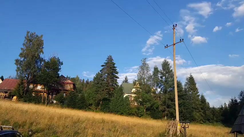 A daytime outdoor scene shows a sloping grassy field in the foreground with a wooden utility pole standing on the right side of the frame. Behind the field, there is a cluster of trees, some of which are tall and coniferous. Two houses are visible amongst the trees; one is brown with a red roof and the other is white with a green roof. The sky above is bright blue with scattered white clouds. The overall impression is a rural landscape.