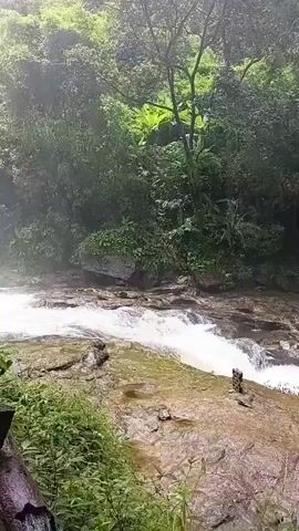 The video shows a wide shot of a natural waterfall cascading down a rocky cliff face in a lush, green forest. The water flows over multiple tiers of rocks, creating a misty spray that partially obscures the background. A path made of uneven stones winds its way alongside the waterfall, bordered by dense foliage and a rustic wooden railing. The overall impression is one of serene natural beauty and the power of water in an untouched environment.