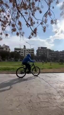 The video shows a park scene on a sunny day with light clouds. A person in a blue hoodie rides a black mountain bike across a paved path in the foreground.  The camera angle is slightly low, looking up through the branches of a tree with sparse, brown blossoms.  In the middle ground, a grassy area is visible with several children running and playing.  Behind the park area, apartment buildings of varying heights line the background.  Streetlights are also visible. The paved path appears wet, possibly from recent rain.  The overall impression is a peaceful, urban park scene.