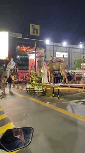 Golden camel display spotted on Madiun street at night