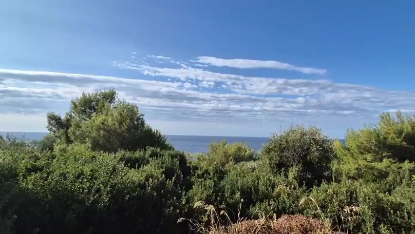 The video shows a view of the sea from a road lined with lush green bushes and trees. The sky is blue with scattered white clouds. The road is paved and curves to the right, leading towards the sea. There are a few utility poles visible along the side of the road. The overall impression is one of a peaceful, natural landscape.