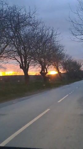 A video shows a road with a white line marking the lane. The road has trees without leaves on the side, and a fiery sunset is visible between the trees. The camera appears to be mounted in a moving car.