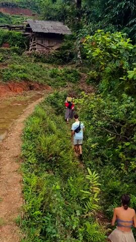 The video depicts a group of people hiking along a narrow dirt path through a lush, verdant landscape in Nậm Dịch Commune, Vietnam.

The primary subjects are a small group of individuals, at least four, walking in single file. One person in a light blue t-shirt and dark shorts or pants walks ahead. Behind them, another individual wears a green top and light-colored shorts or a skirt. Further ahead, two more figures are visible, one in red clothing. The hikers appear to be engaged in a leisurely walk or trek through the natural environment.

The setting is characterized by dense, tropical vegetation, including numerous ferns, bushes, and trees with abundant green foliage that lines both sides of the path. The path itself is unpaved, made of reddish-brown earth. In the initial shot, a small body of water, possibly a muddy stream or part of a terraced field, runs alongside the path on the left. High above the path, nestled into the hillside, a simple wooden house with a corrugated metal roof is visible, suggesting a rural settlement. In the background, forested hills or mountains extend into the distance, indicating a mountainous region. The time of day is daytime, with clear natural light illuminating the scene. There is no visible text in the video.