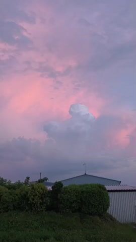 The video shows a time-lapse of a pink and purple sunset with clouds over a row of trees and a building. The camera is stationary.