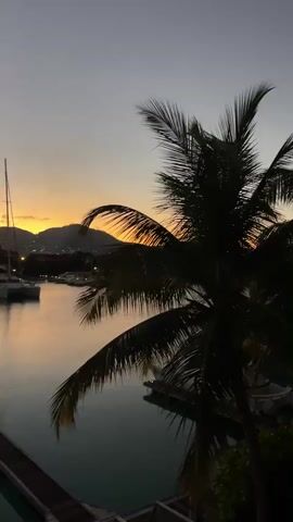 A video taken at dusk shows a serene harbor with several sailboats and catamarans docked. The sky displays a gradient of deep blue and soft orange, indicating the setting sun behind silhouetted mountains. In the foreground, a palm tree's fronds are visible, framing the scene and adding a tropical ambiance. The water reflects the twilight sky and the lights of the boats, creating a peaceful and picturesque atmosphere.