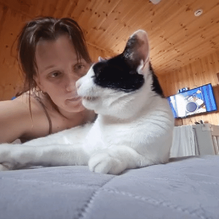 Rainy day indoors with a cat, a kid, and home cooking