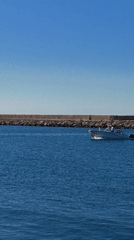 Sunny afternoon harbor life captured in Dénia, Spain