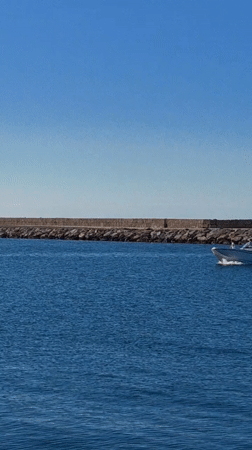 Sunny afternoon harbor life captured in Dénia, Spain
