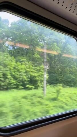 The video shows a view from inside a train, looking out the window. The landscape outside is a blur of green: a field and a forest line the tracks, with the trees a vibrant, dense green. The sky is visible through the treetops. The train is moving quickly, creating the sense of speed. The window frame is grey, and a portion of the train's interior, including an overhead vent, is visible. The focus is entirely on the passing landscape.