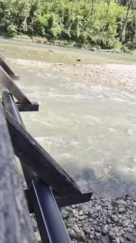 The video shows a river with a rocky bank in the foreground, bordered by a wooden structure. The river flows from left to right, with trees and mountains visible in the background. The water is a light brown color and appears to be flowing swiftly. The sun is shining, casting shadows on the water and the riverbank.